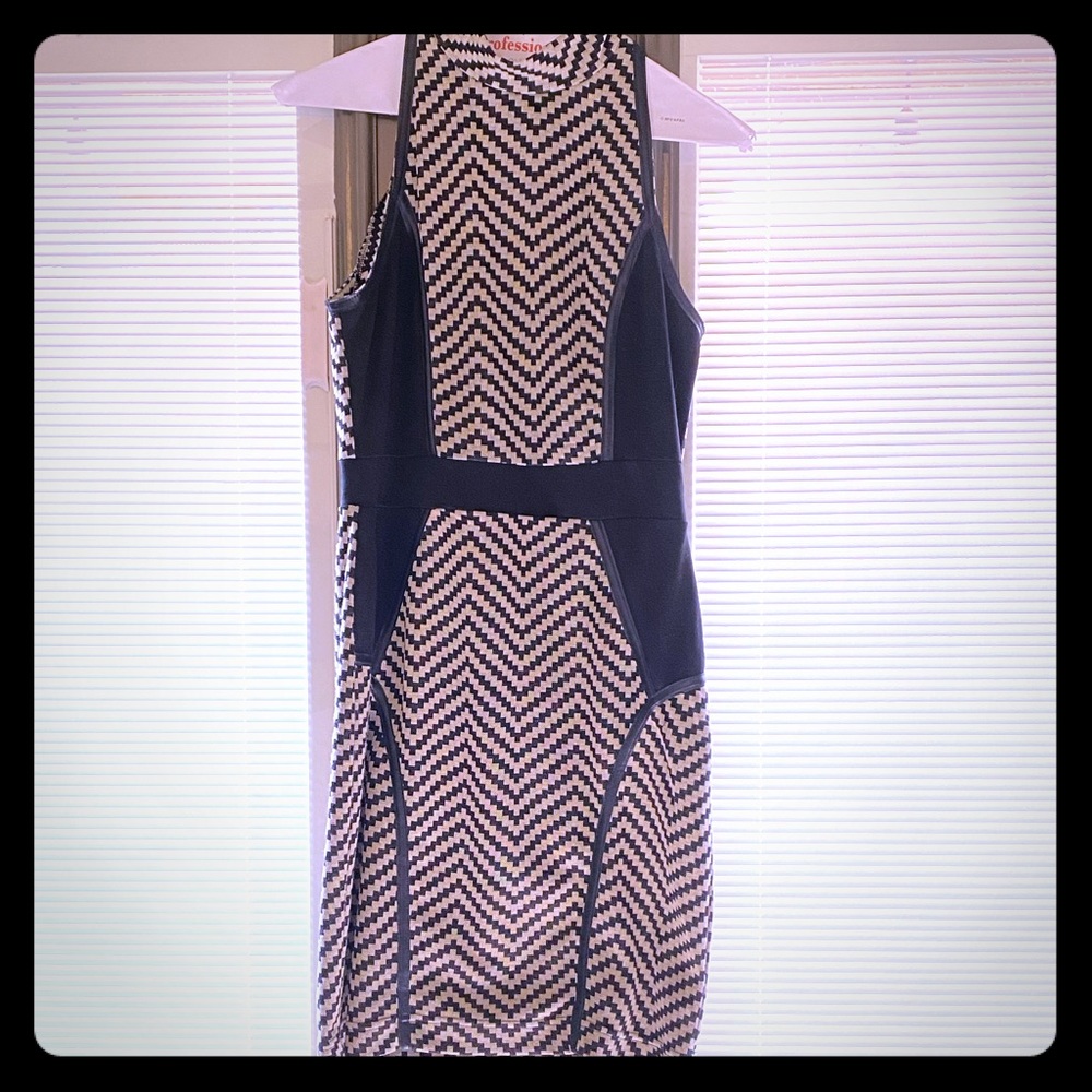 Slim Fitting Dress